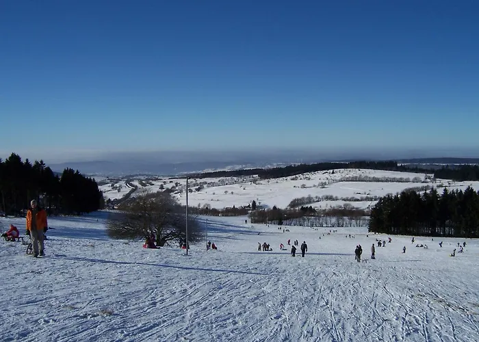 Mit Sauna Und Garten Villa Schotten
